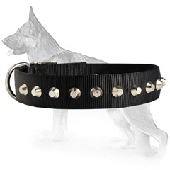 German Shepherd Dog Collar With Ultimate Comfort