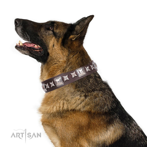 German Shepherd embellished natural genuine leather dog collar for daily use