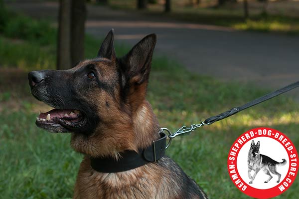 Strong Leather German Shepherd Collar with Non-corrosive Hardware