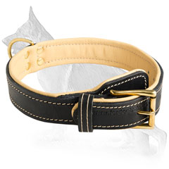 Super Soft Leather Dog Collar with Nappa Padding inside