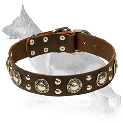 Leather Collar for German Shepherd Decorated