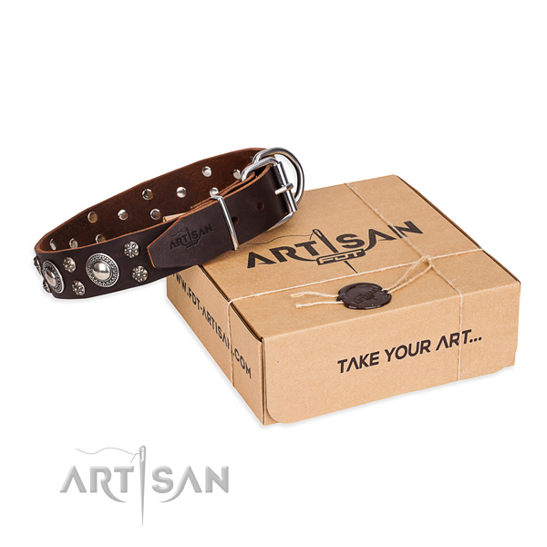 Day-to-day leather dog collar with exciting decorations