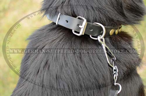 Nickel Plated Buckle For Proper Fixation On Dog Collar