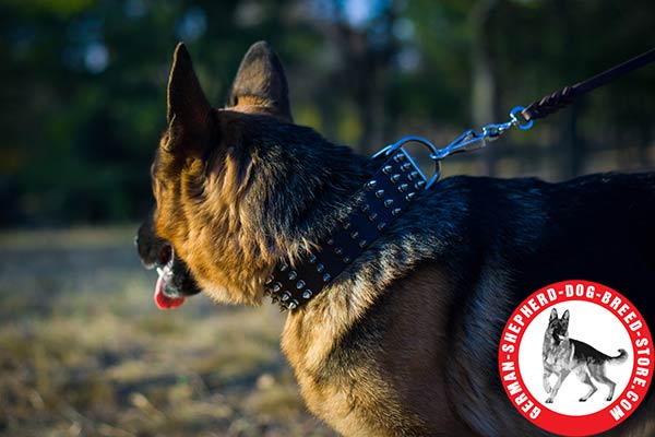 Walking-in-style Leather Collar with Silvery Spikes for German Shepherd