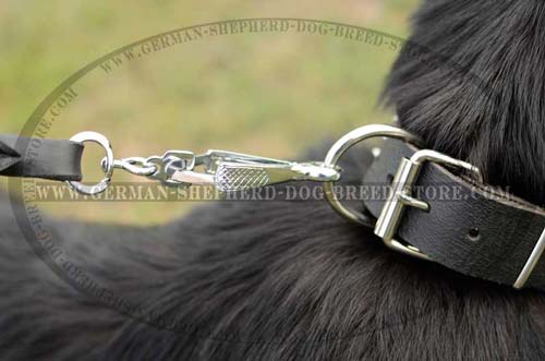 Steel D-ring On Dog Collar Leather Fashionable