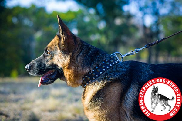 First-rate Leather Collar with Stunning Design for German Shepherd 