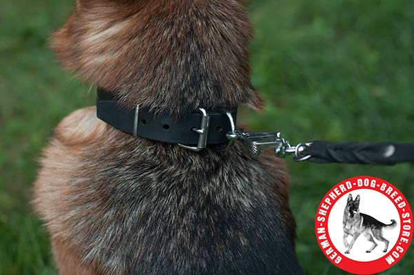 Strong German Shepherd Collar with Nickel-plated Hardware