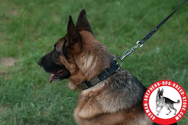 Vintage Dog Collar with Non-rusting Hardware for German Shepherd