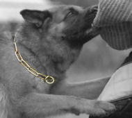 herm sprenger dog collars, pinch collars, prong collars , fur savers collars