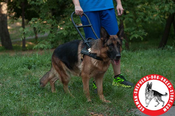 Strong Leather Dog Harness for Guide German Shepherd