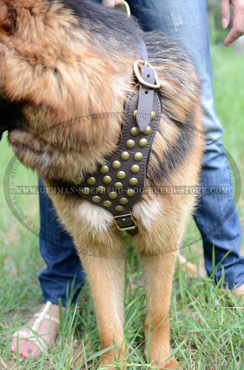 De Luxe German Shepherd Dog Harness