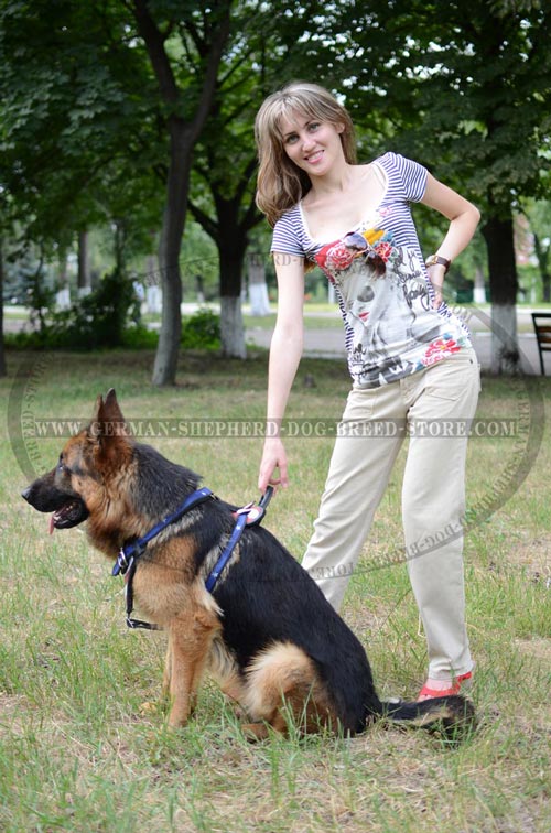 Great German Shepherd Dog Harness