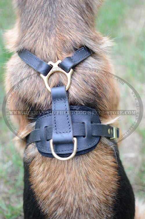 German Shepherd Dog Harness That Perfectly Fits Your Pet