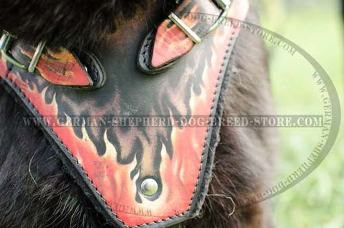 Leather German Shepherd Harness Chest Plate Painted with Flames