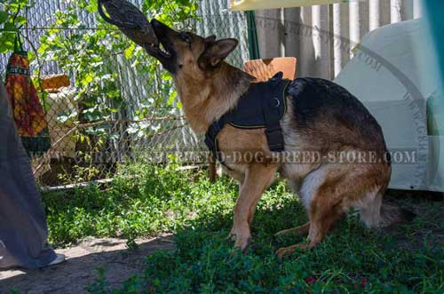 German Shepherd Harness Nylon For Working Dogs