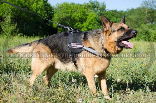 Reflective Nylon German Shepherd Harness with Patches