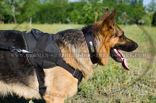 Nylon German Shepherd Harness with Comfortable Wide Back Plate