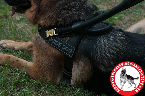 Assistance German Shepherd Harness with ID Patches