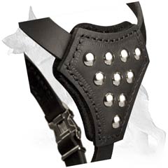 Studded Front Plate of Leather German Shepherd Puppy Harness