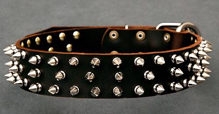 Leather Spiked Dog Collar for German shepher dog