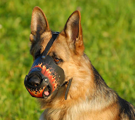 Deluxe Art Leather dog muzzle for GSD