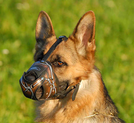 Best Art Leather dog muzzle for German Shepherd
