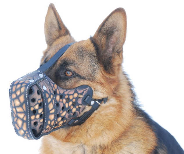Leather dog muzzle 