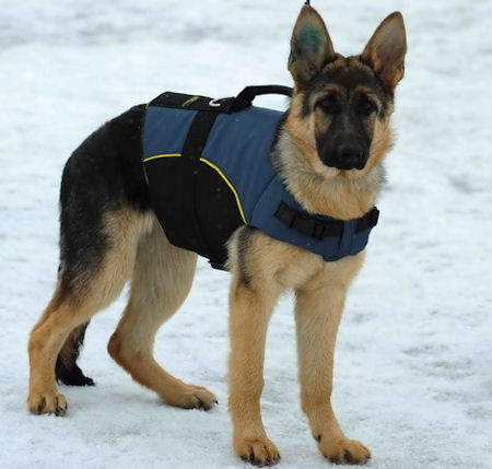 German Shepherd VEST- nylon dog harness for Shepherd,dog Coat for Shepherds