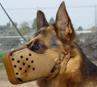 training leather dog muzzle for German Shepherds
