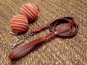 Leather dog leash with scissor type snap hook