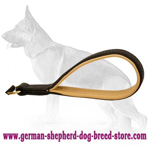 Astonishing German Shepherd Dog Leash
