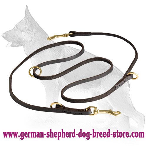  German Shepherd Leash with Brass Fittings