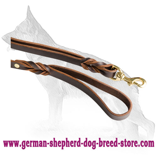 Snap Hook On Dog Leash Made Of Brass