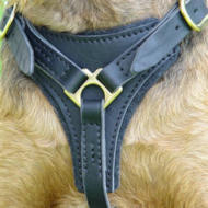 Tracking / Walking dog harness made of leather