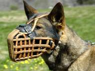 Leather basket dog muzzle for German Shepherd/Malinois