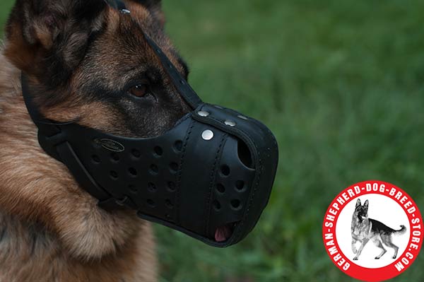 Leather Dog Muzzle with Free Air Flow