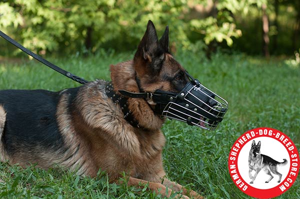 Any Activity Basket-type Metal Muzzle for German Shepherd