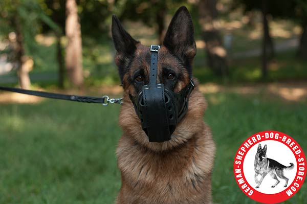 Comfortable Leather Dog Muzzle with Padded with Felt Nose Zone