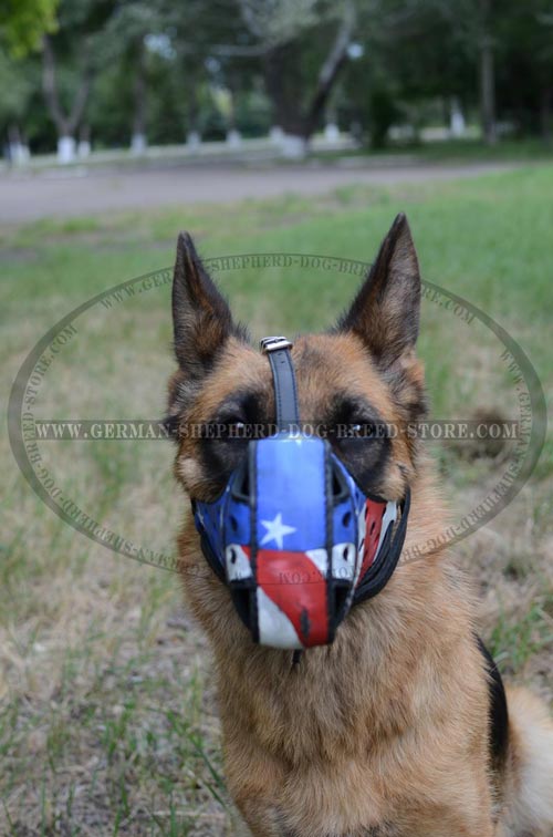 Leather German Shepherd Muzzle Painted with American Flag