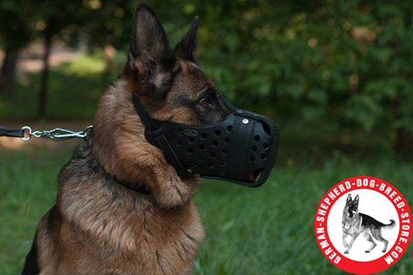 Great Leather German Shepherd Muzzle for Comfortable Training