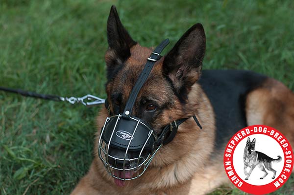 German Shepherd Metal Wire Cage with Adjustable Straps