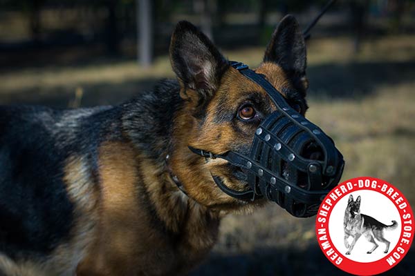 Genuine Leather German Shepherd Muzzle for Daily Use