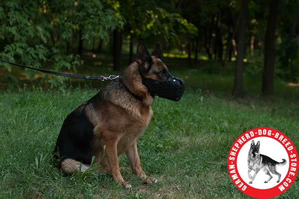 German Shepherd Muzzle for Pro Training