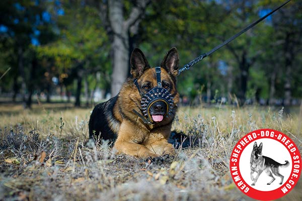 Stylishly Decorated Leather Dog Muzzle for German Shepherd