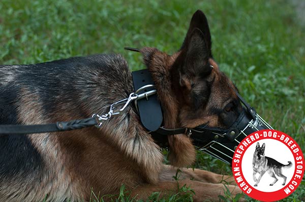 Durable and Comfortable Padded Wire Cage for German Shepherd