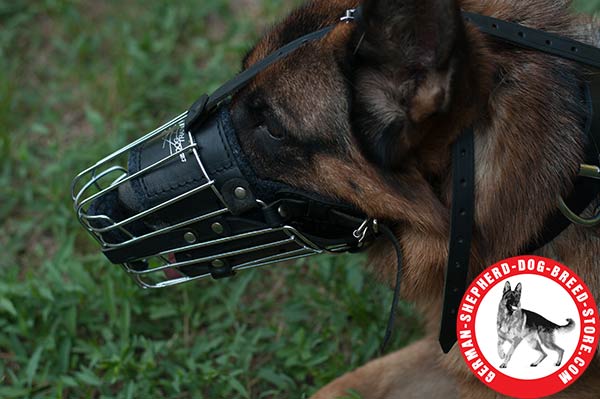 Comfortable Wire Basket Muzzle with Soft Padding