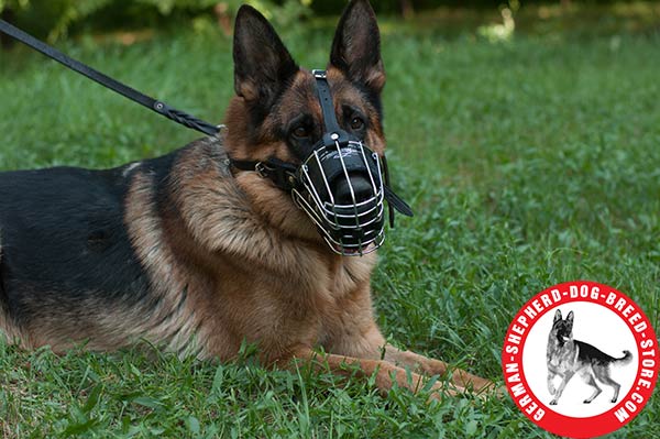 Super Strong Padded Wire Cage for German Shepherd