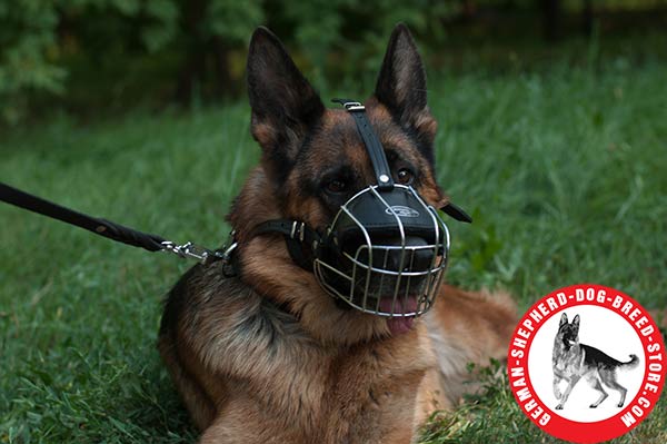 Durable Wire Basket German Shepherd Muzzle