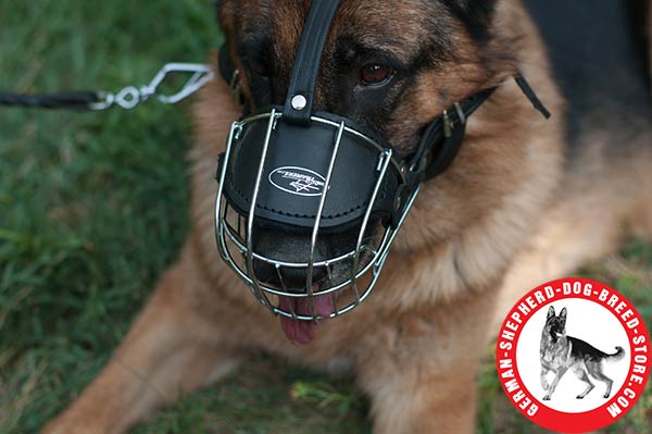 High-quality Wire Muzzle with Padded Nose for Better Comfort