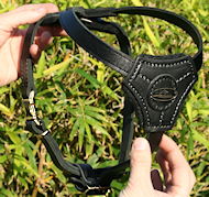 Leather Tracking/Walking dog harness for puppys or small breeds